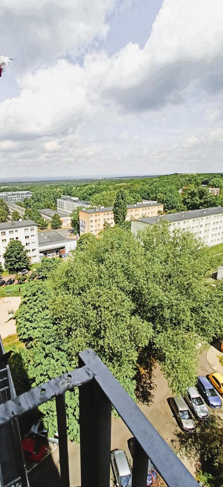 Drzewna Apartamenty - Wladyslawa Жельона Гора Екстериор снимка
