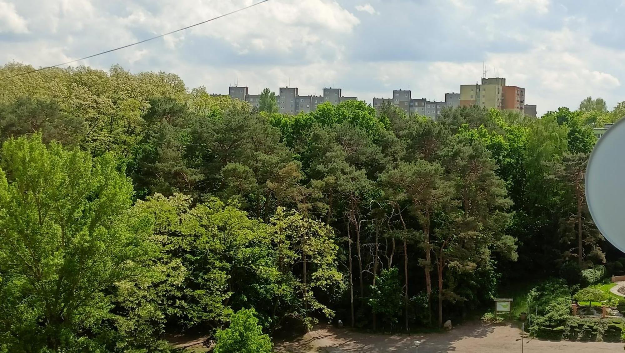 Drzewna Apartamenty - Wladyslawa Жельона Гора Екстериор снимка