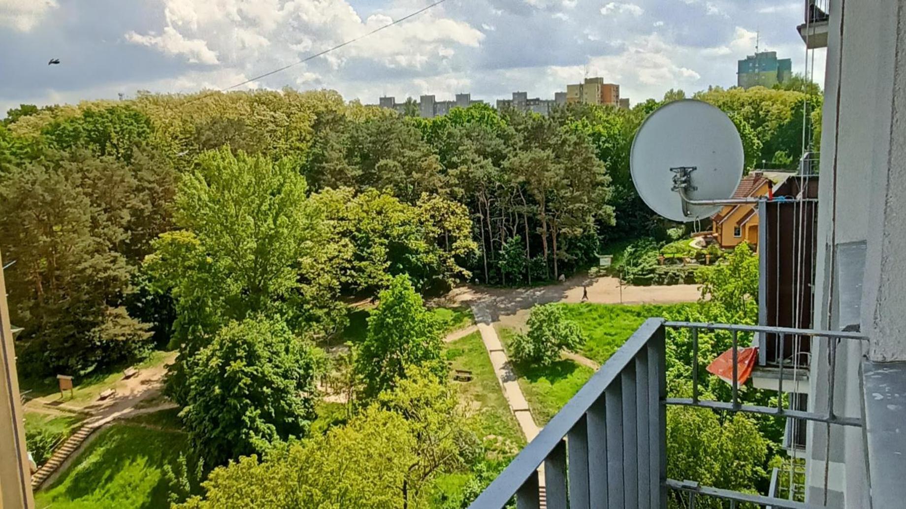 Drzewna Apartamenty - Wladyslawa Жельона Гора Екстериор снимка