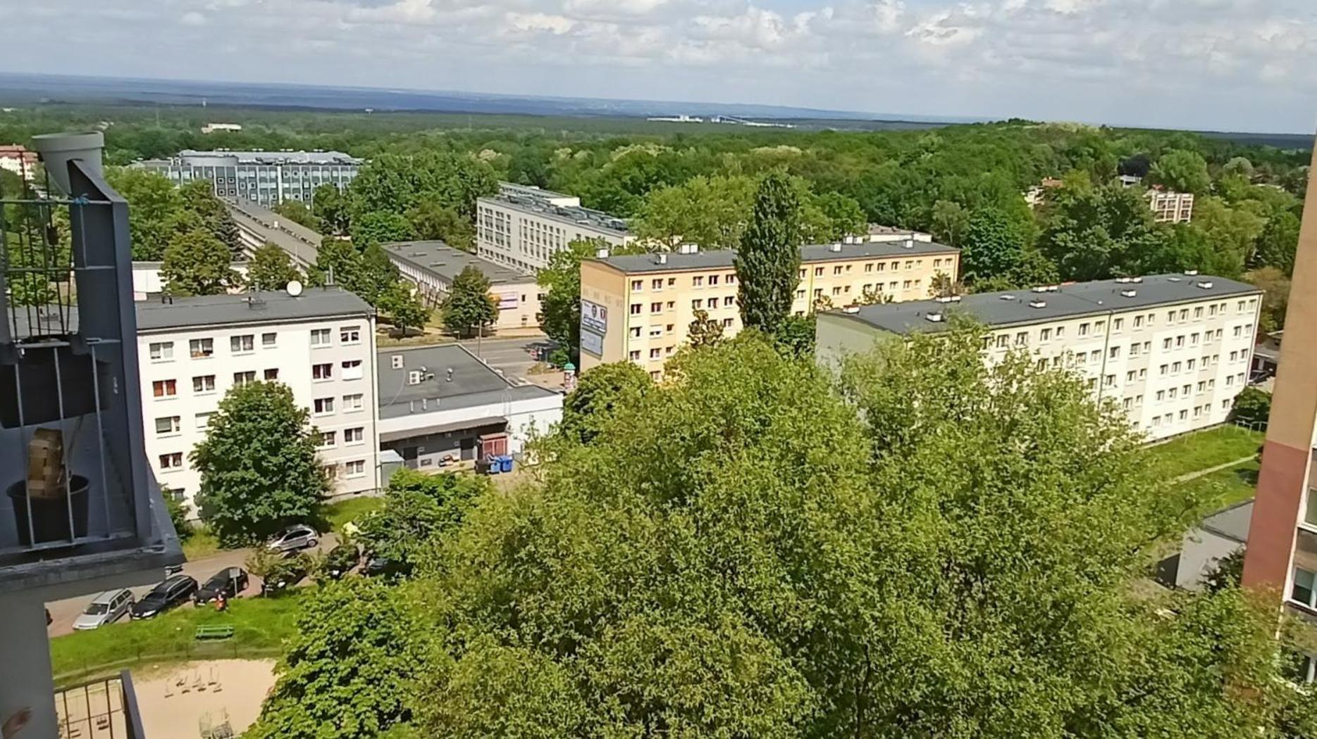 Drzewna Apartamenty - Wladyslawa Жельона Гора Екстериор снимка