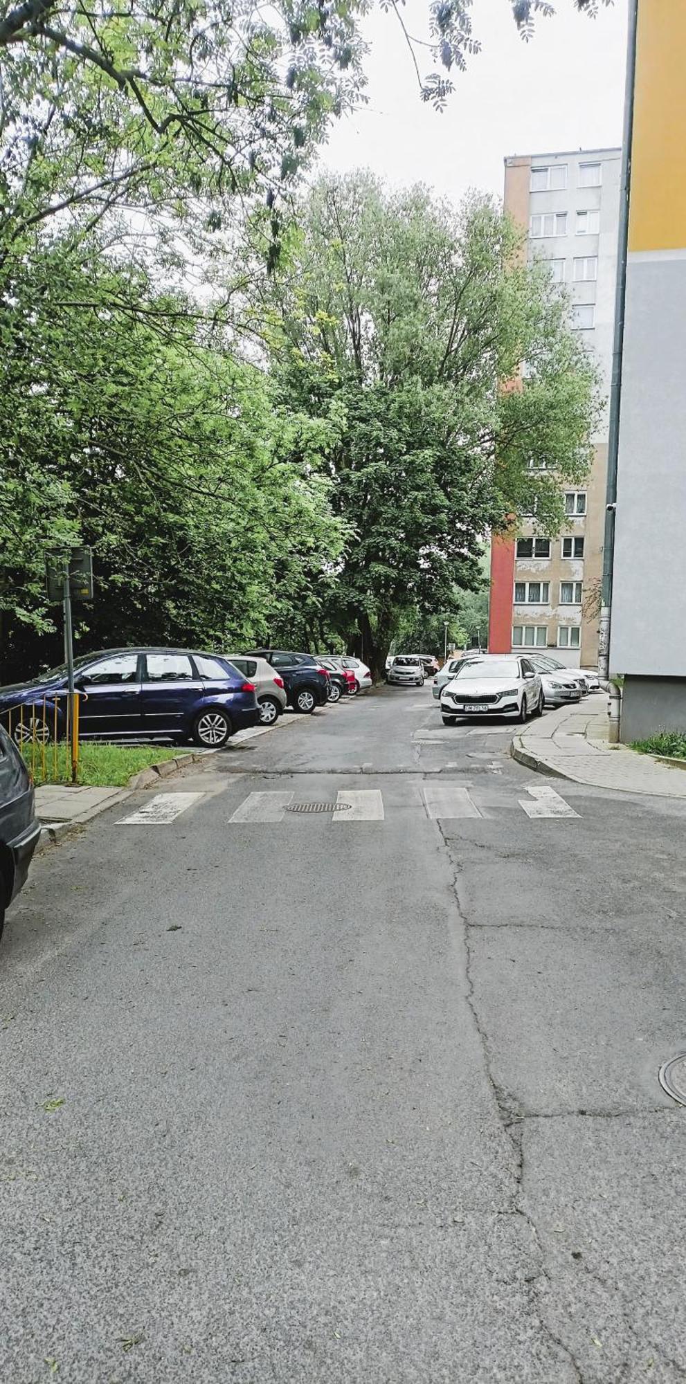 Drzewna Apartamenty - Wladyslawa Жельона Гора Екстериор снимка