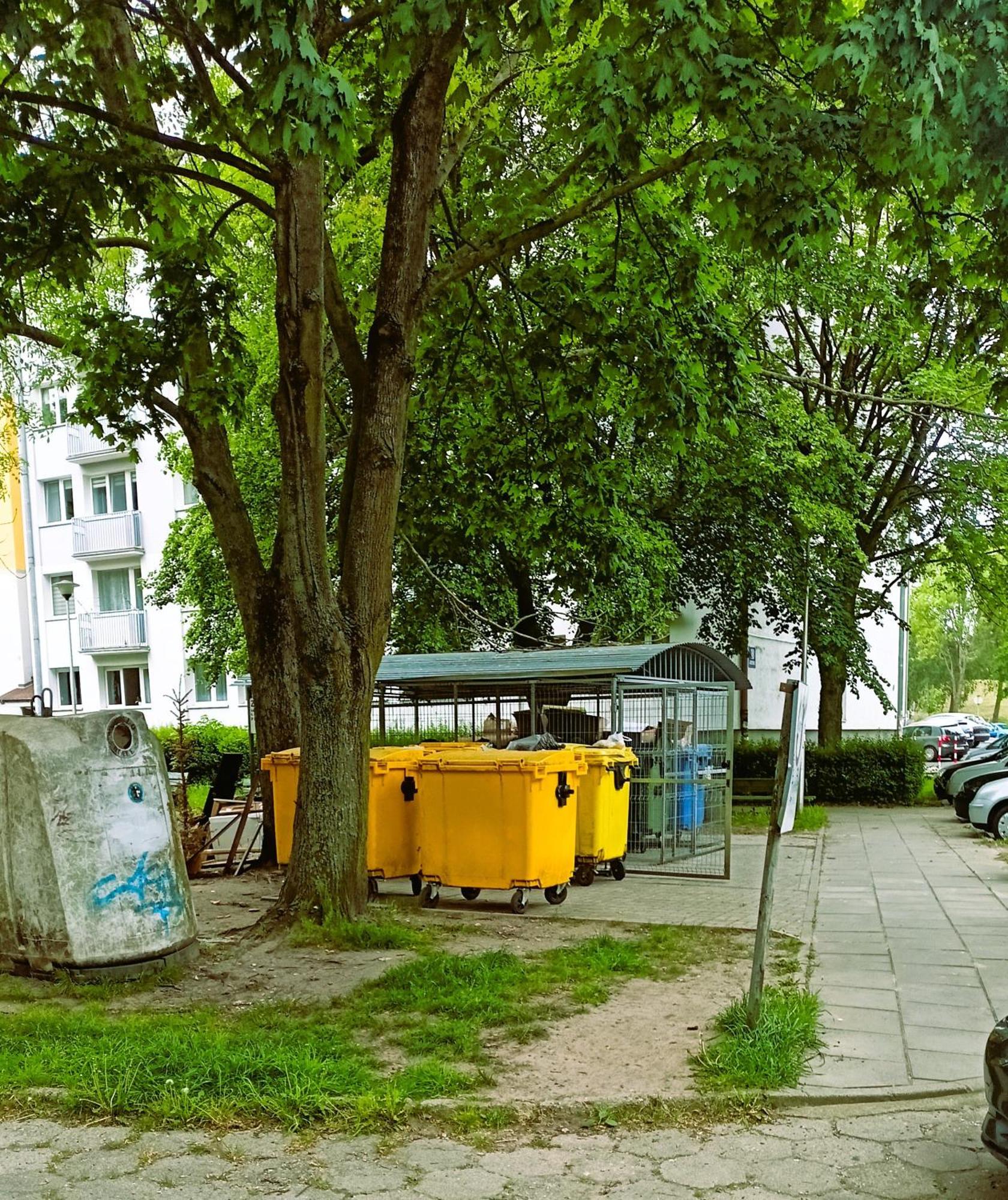 Drzewna Apartamenty - Wladyslawa Жельона Гора Екстериор снимка