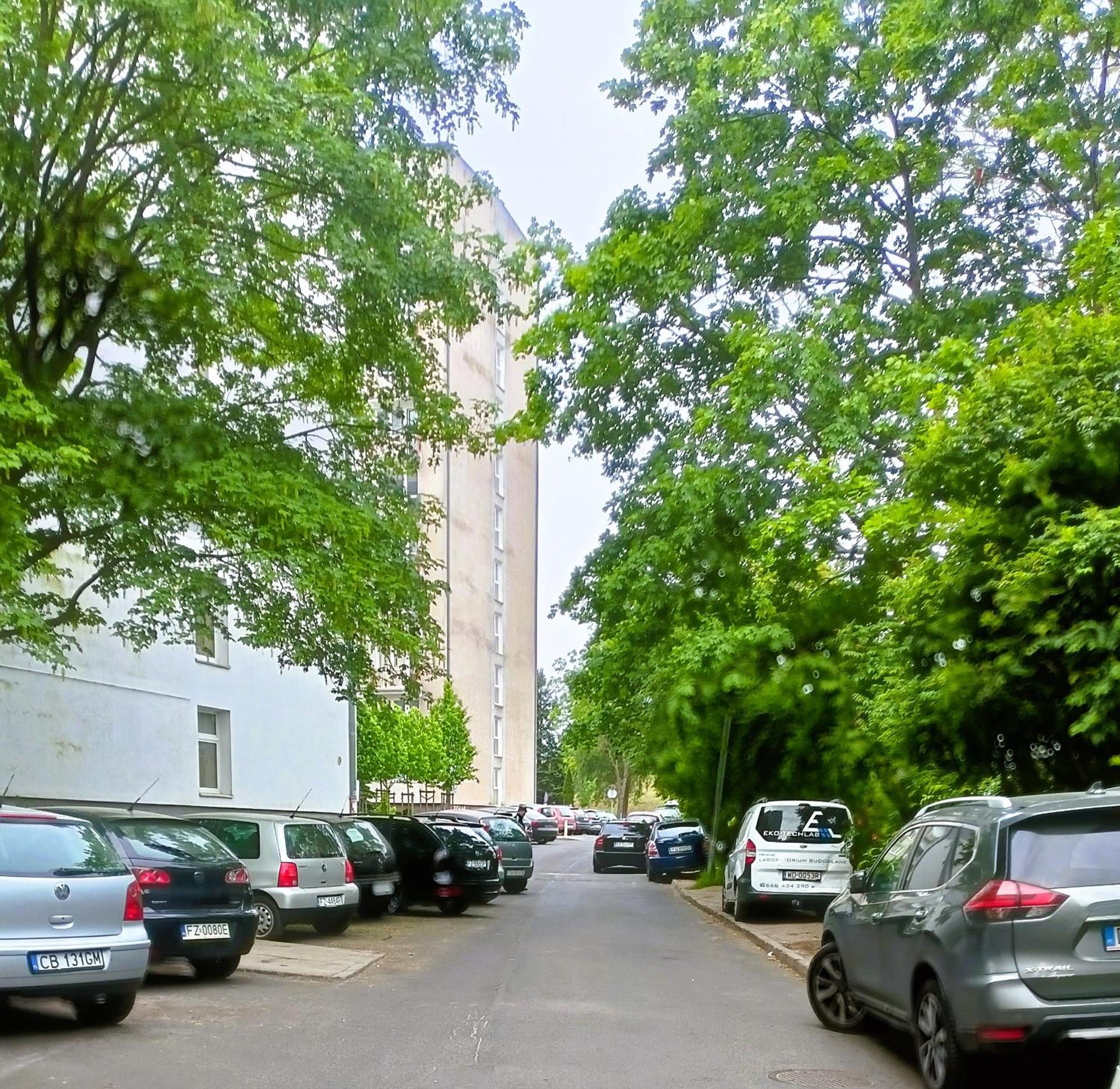 Drzewna Apartamenty - Wladyslawa Жельона Гора Екстериор снимка